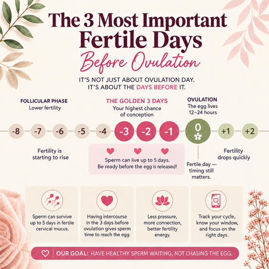 The 3 most important fertile days before ovulation.